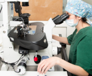 embryology_Elite2025