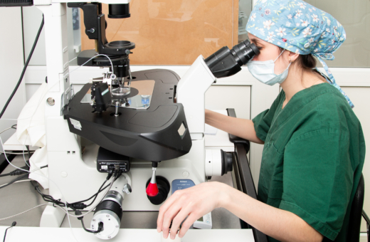 embryology_Elite2025